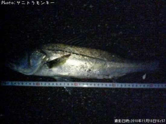 �����Х�