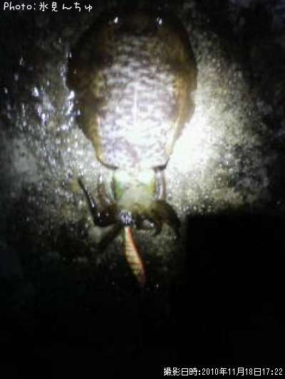 �����ꥤ��