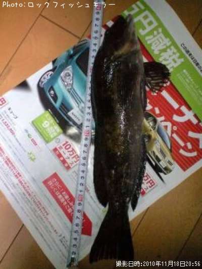 �����ʤ�