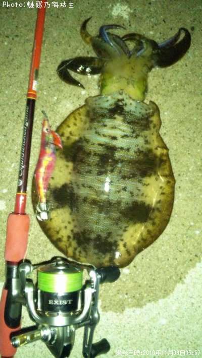 �����ꥤ��