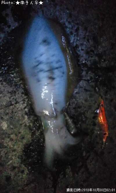 �����ꥤ��