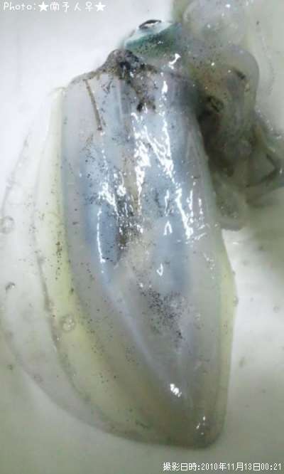 �����ꥤ��