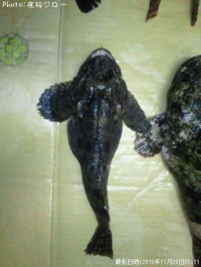 �ȥ��٥ĥ�����