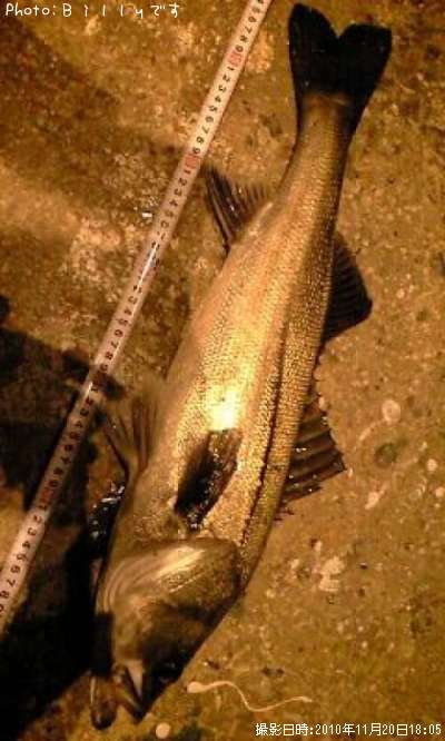 �����Х�