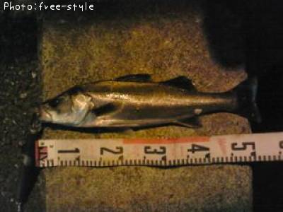 �ӣ��£���