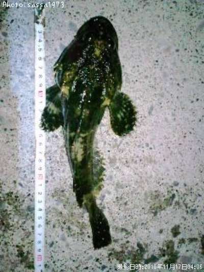 �ȥ�������