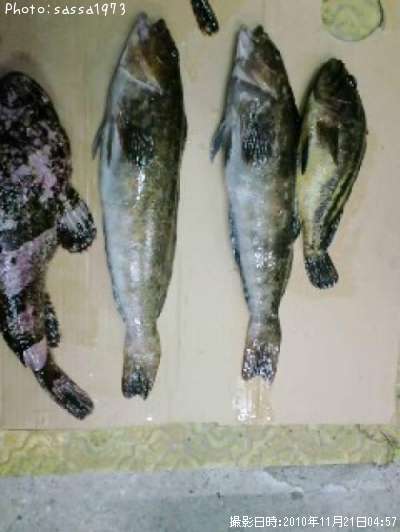 �����ʥ�