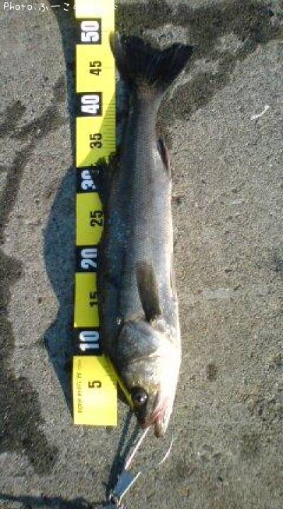 �����Х�