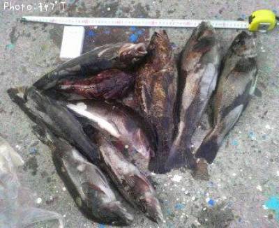 �����ʥ�