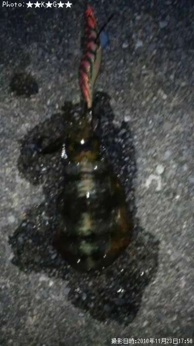 �����ꥤ��