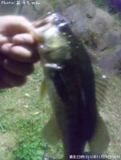 �֥�å��Х�