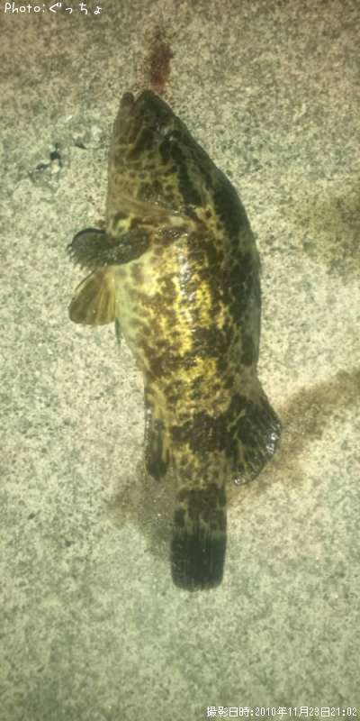 �����Υ���Х�