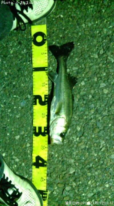 �����Х�