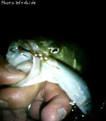 �֥�å��Х�