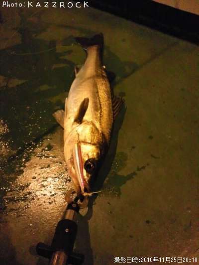 �����Х�