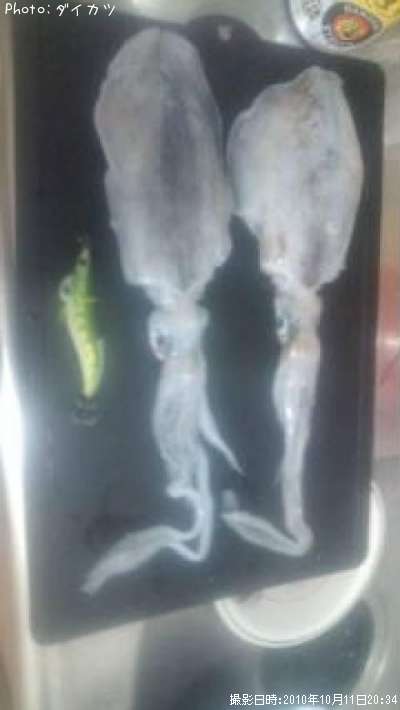 �����ꥤ��