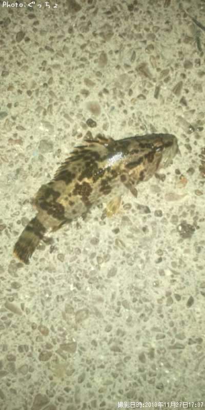 �����Υ���Х�