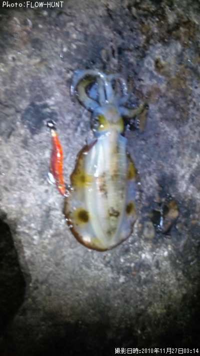 �����ꥤ��