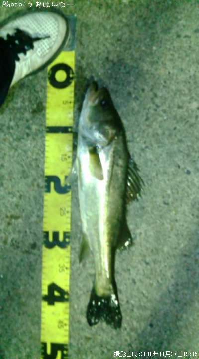 �����Х�