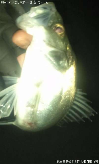 �����Х�