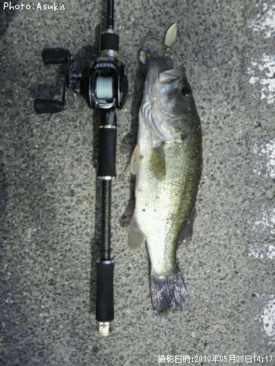 �֥�å��Х�