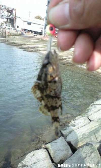 �����Υ���Х�