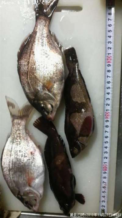 ���ߤ��ʤ�