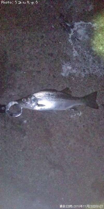 �����Х�