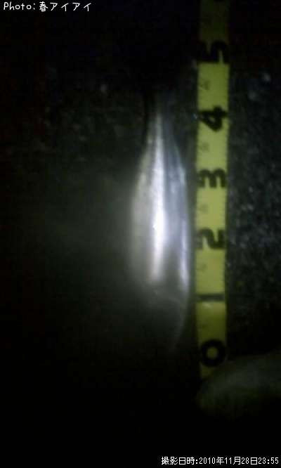 �����Х�