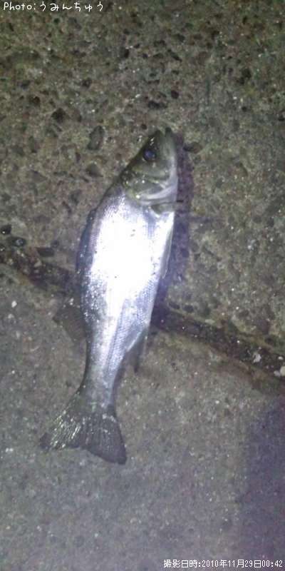 �����Х�