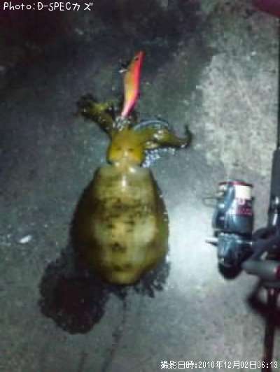 �����ꥤ��