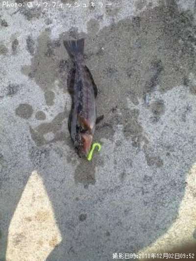 �����ʤ�