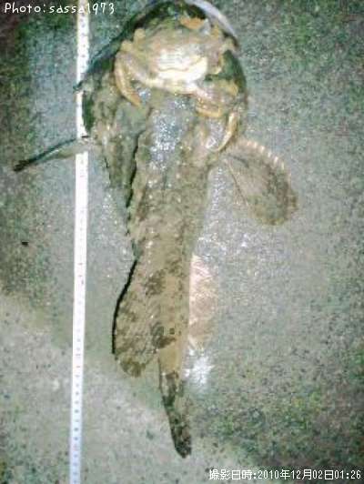 �ȥ�������