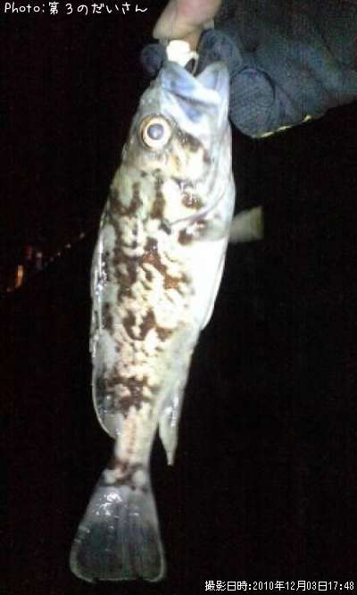 �����Υ���Х�