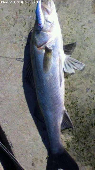 �����Х�