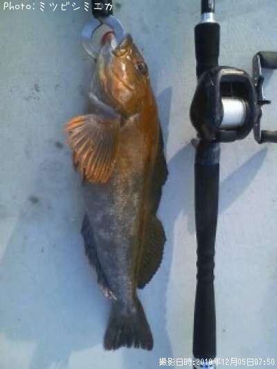 �����ʥ�