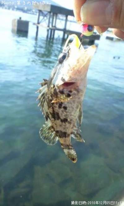 �����Υ���Х�