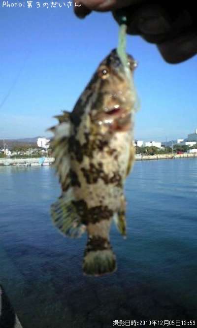 �����Υ���Х�