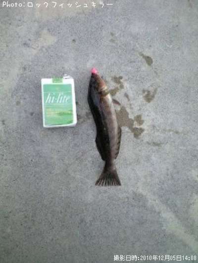 �����ʤ�