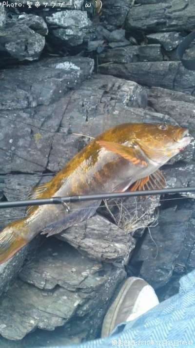 �����ʥ�