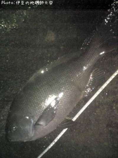 �����᥸��