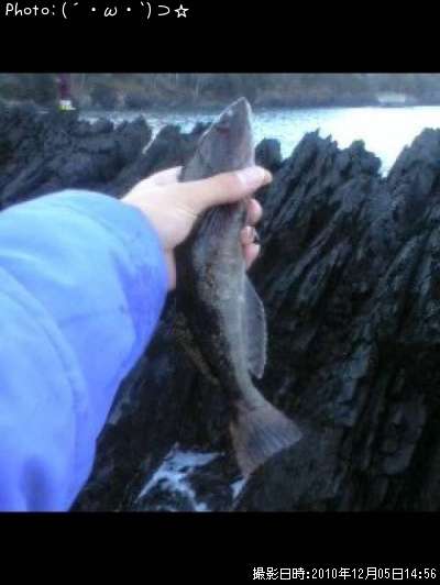 �����ʥ�