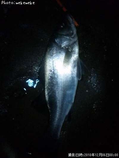 �ҥ饹����