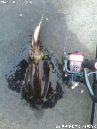 �����ꥤ��