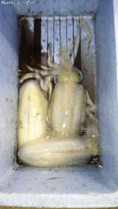 �����ꥤ��