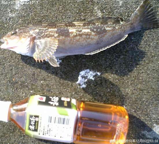 �����ʥ�