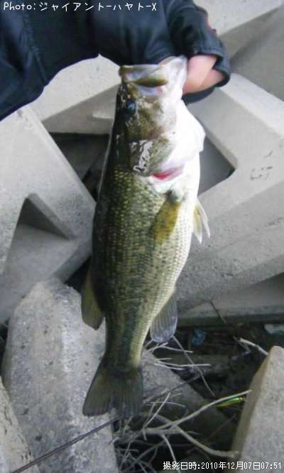 �֥�å��Х�