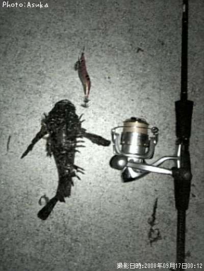 ���˥�����