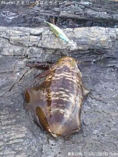 �����ꥤ��