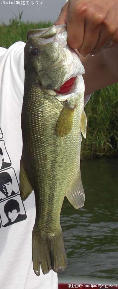 �֥�å��Х�